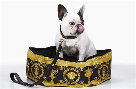 prada dog bed|Behind the Explosive Business of Designer Pet Accessories .